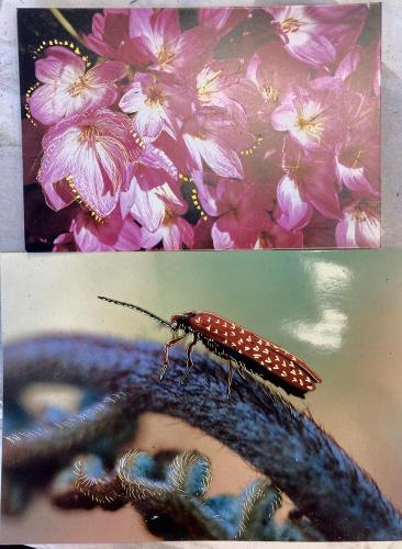 964C7186-E385-475E-890E-4A508D396485 1 201 a